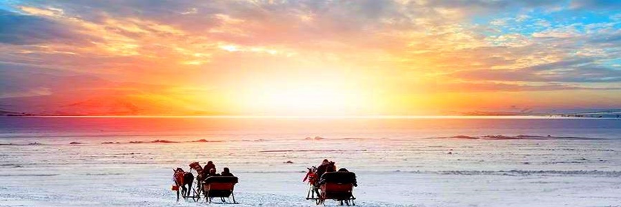 Kars Turu