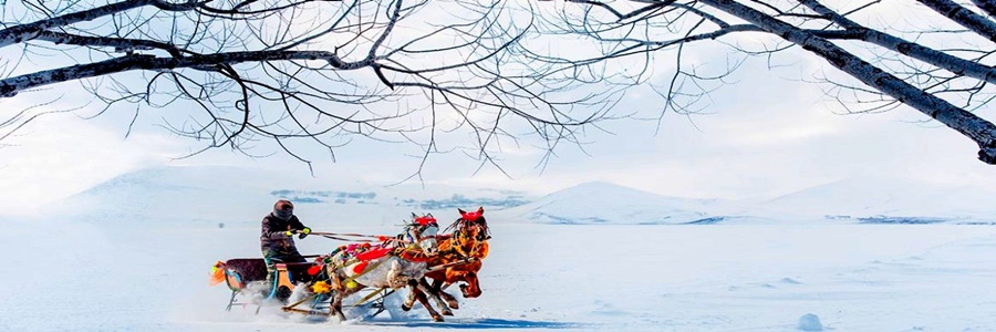 Kars Turu