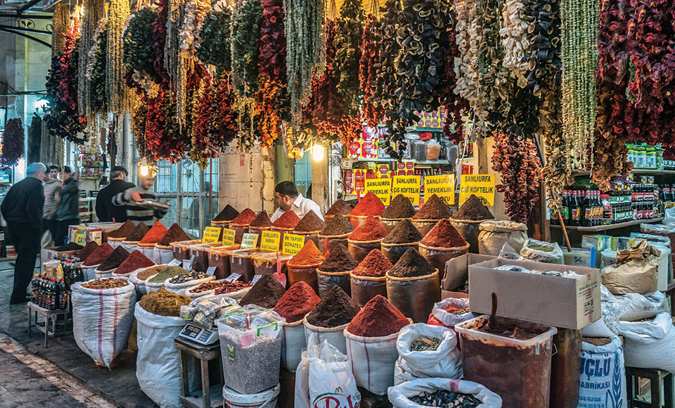 Şanlıurfa Turu